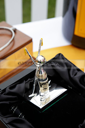 at the Veuve Clicquot Gold Cup Final Cowdray Park Polo Club on Sunday July 2012