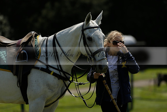 Maiz Dulce v Pluma Negra in a Jubilee 6 Goal Polo match 2013.05.27