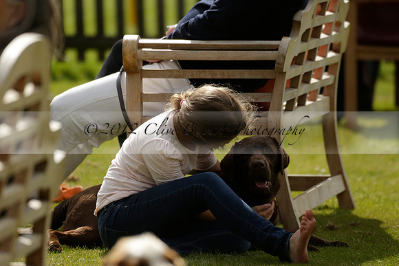 Maiz Dulce v Ghost Chilli in the Easebourne Cup final Polo match 2013.06.09