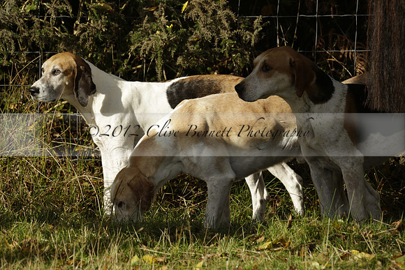 Devon & Somerset StagHounds meet at Five Cross Ways on Thursday 17 October 2013. 2013.10.17 www.polopictures.co.uk