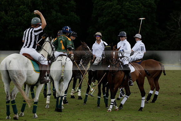 The Blue Jackets Cup polo match played between Maize Dulce (green) vs Home Farm (white) At the New Forest Polo Club on Sunday 18 August 2013