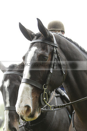 Devon & Somerset Stag Hounds meet at Liscombe on Saturday 12 October 2013 2013.10.12 www.polopictures.co.uk