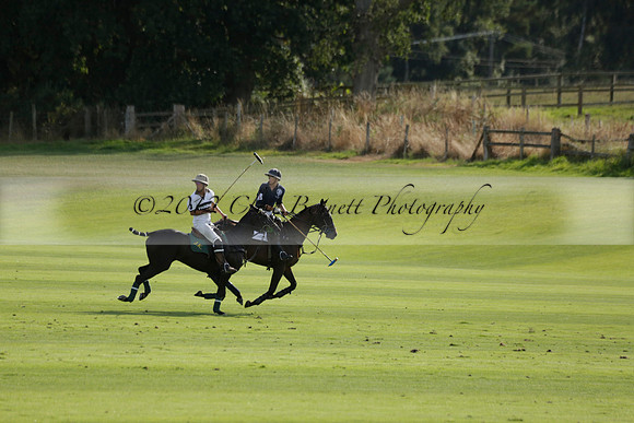 Pandas (white) v Home Farm (navy) in a Park House West Sussex Cup Polo match on Brooksfield at Cowdray Park Polo Club on Friday 30 August 2013. 2013.08.30 www.polopictures.co.uk