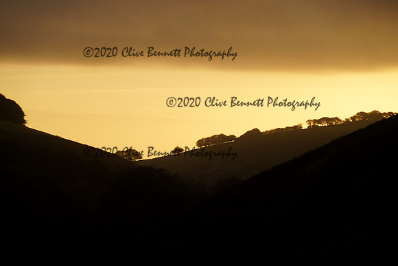 _CAB3017