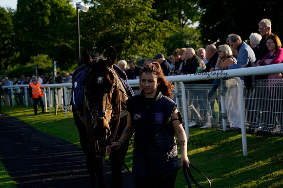_CAB6480