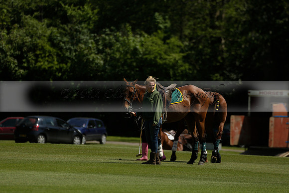 Maiz Dulce v Pluma Negra in a Jubilee 6 Goal Polo match 2013.05.27