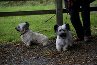 Devon & Somerset Stag Hounds meet at Liscombe on Saturday 12 October 2013 2013.10.12 www.polopictures.co.uk