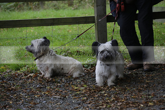 Devon & Somerset Stag Hounds meet at Liscombe on Saturday 12 October 2013 2013.10.12 www.polopictures.co.uk