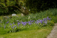 St Mary's Church 2025.04.20