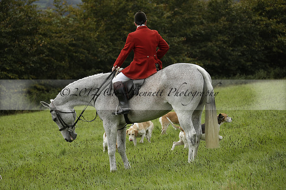 Devon & Somerset Stag Hounds meet at Hillhead Cross on Monday 14 October 2013. 2013.10.14 www.polopictures.co.uk