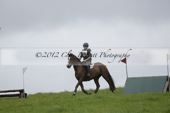 Chiddingfold, Leconfield and Cowdray Hunt, Hunter Trials at Iping on Sunday 20 October 2013. 2013.10.20 www.polopictures.co.uk