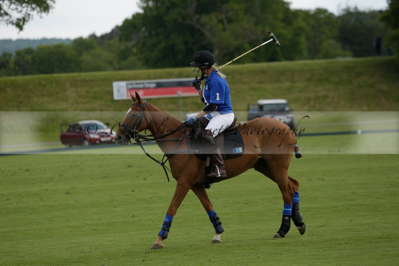 Maiz Dulce v Ghost Chilli in the Easebourne Cup final Polo match 2013.06.09