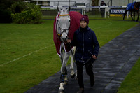 Race 5 The starsports.bet Handicap Hurdle Race 2025.02.23