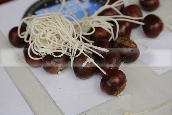 Bonkers for Conkers at Langham brewery on Sunday 20 October 2013. 2013.10.20 www.polopictures.co.uk