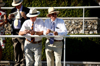 Race 6 The Goodwood Revial Stakes 2016.08.30