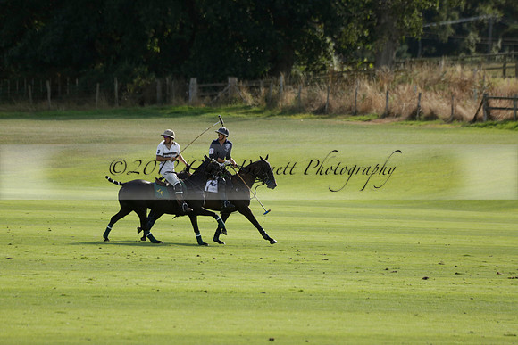 Pandas (white) v Home Farm (navy) in a Park House West Sussex Cup Polo match on Brooksfield at Cowdray Park Polo Club on Friday 30 August 2013. 2013.08.30 www.polopictures.co.uk