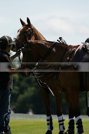 Maiz Dulce v Emlor in a Barrett Cup Polo match 2013.06.30