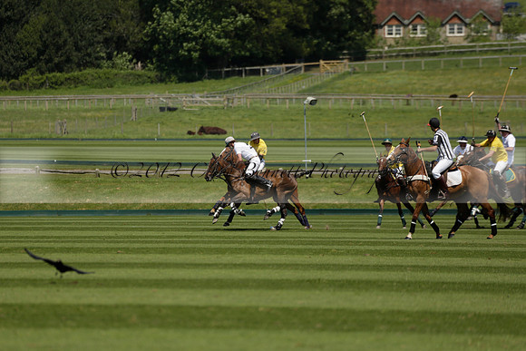 Maiz Dulce v Pluma Negra in a Jubilee 6 Goal Polo match 2013.05.27
