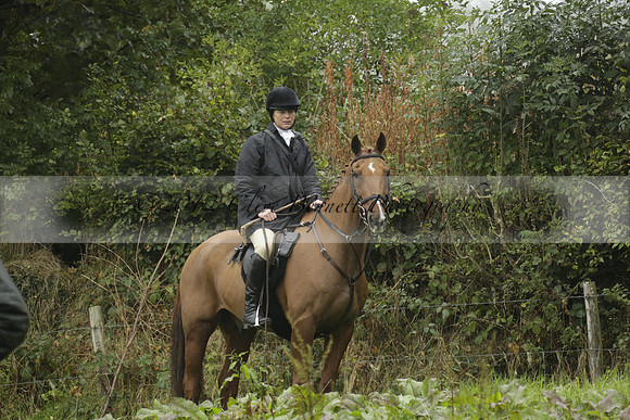 Devon & Somerset Stag Hounds meet at Liscombe on Saturday 12 October 2013 2013.10.12 www.polopictures.co.uk