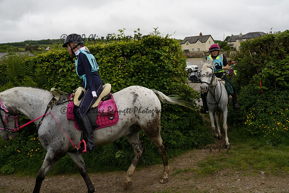 _CAB0295