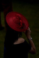Race 5 The Regent Seven Seas Cruises Bentinck Conditions Stakes 2025.08.01