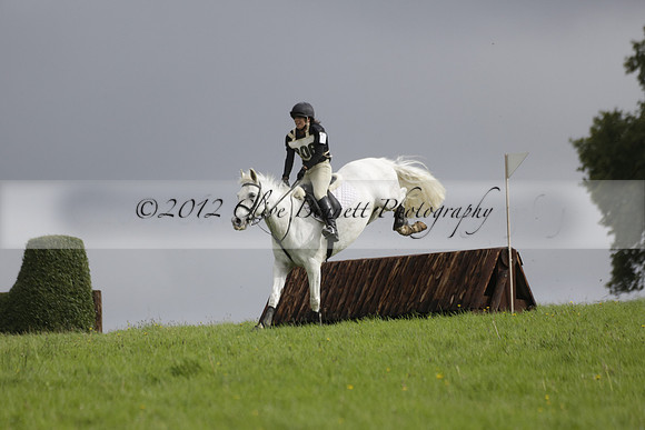 Chiddingfold, Leconfield and Cowdray Hunt, Hunter Trials at Iping on Sunday 20 October 2013. 2013.10.20 www.polopictures.co.uk