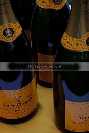 at the Veuve Clicquot Gold Cup Final Cowdray Park Polo Club on Sunday July 2012