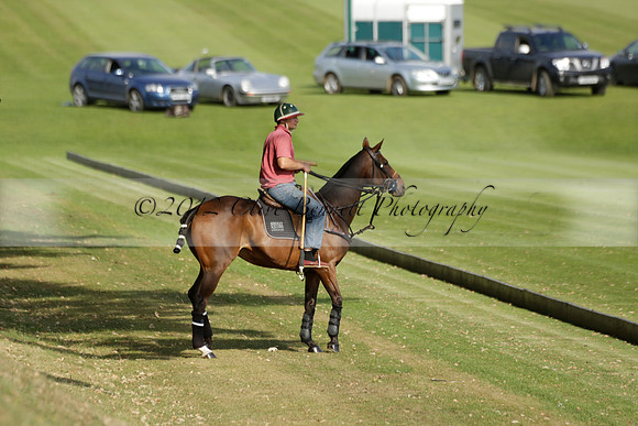 Pandas (white) v Home Farm (navy) in a Park House West Sussex Cup Polo match on Brooksfield at Cowdray Park Polo Club on Friday 30 August 2013. 2013.08.30 www.polopictures.co.uk