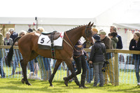 Race 6 The Maiden Race at Vaulterhill Farm Point 2 Point Races 2025.05.05