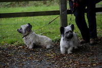 Devon & Somerset Stag Hounds meet at Liscombe on Saturday 12 October 2013 2013.10.12 www.polopictures.co.uk