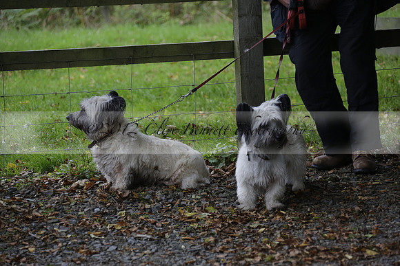 Devon & Somerset Stag Hounds meet at Liscombe on Saturday 12 October 2013 2013.10.12 www.polopictures.co.uk