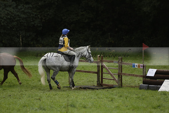 Chiddingfold, Leconfield and Cowdray Hunt, Hunter Trials at Iping on Sunday 20 October 2013. 2013.10.20 www.polopictures.co.uk