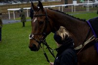 Race 6 The John & Harold Hartwell Memorial Novices Handicap Steeple Chase 2025.02.23