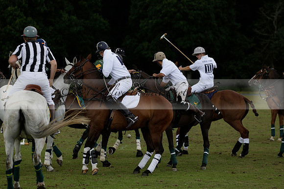 The Blue Jackets Cup polo match played between Maize Dulce (green) vs Home Farm (white) At the New Forest Polo Club on Sunday 18 August 2013