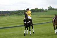 River v Maiz Dulce in a Jaeger Le Coultre Dollar Cup Polo match 2013.05.22