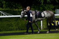 _CAB1191
