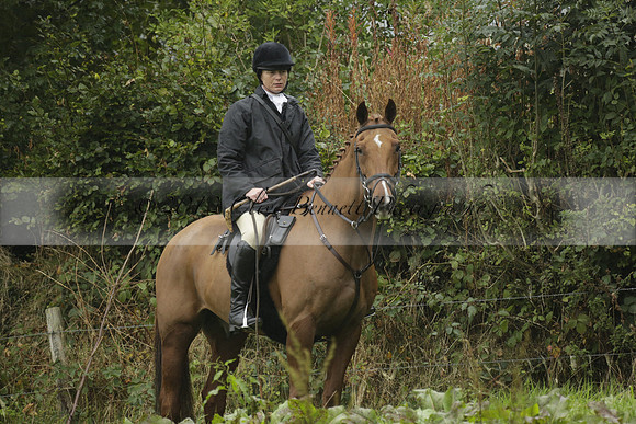 Devon & Somerset Stag Hounds meet at Liscombe on Saturday 12 October 2013 2013.10.12 www.polopictures.co.uk