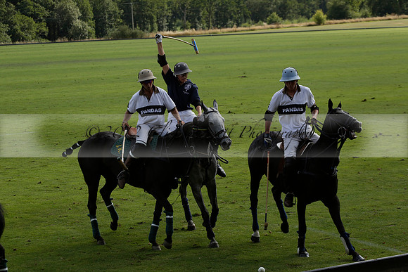 Pandas (white) v Home Farm (navy) in a Park House West Sussex Cup Polo match on Brooksfield at Cowdray Park Polo Club on Friday 30 August 2013. 2013.08.30 www.polopictures.co.uk