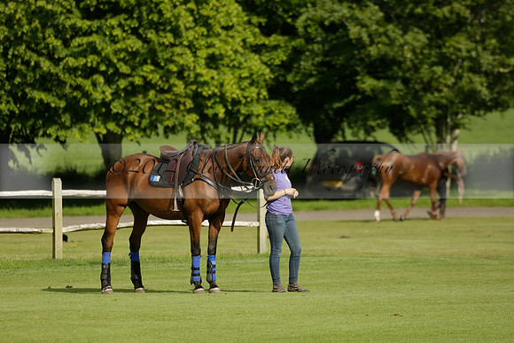 Maiz Dulce v Ghost Chilli in the Easebourne Cup final Polo match 2013.06.09