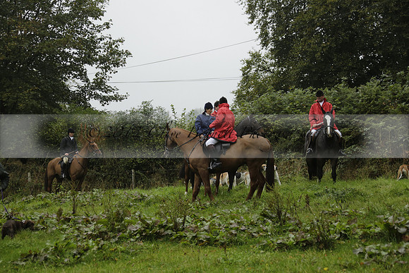 Devon & Somerset Stag Hounds meet at Liscombe on Saturday 12 October 2013 2013.10.12 www.polopictures.co.uk