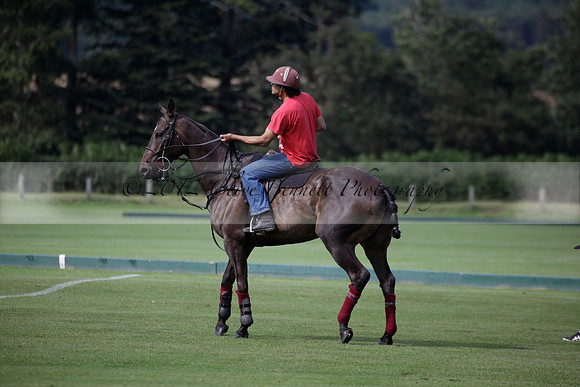 Maiz Dulce v Combe in a Brecknock Cup polo match played on Ambersham 2 at Cowdray Park Polo Club on Friday 17 August 2012