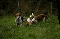 Devon & Somerset Stag Hounds meet at Liscombe on Saturday 12 October 2013 2013.10.12 www.polopictures.co.uk