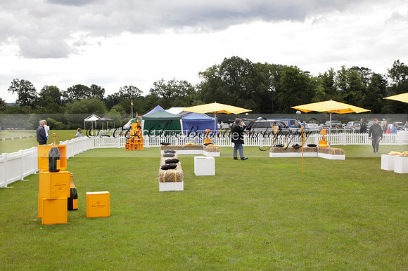 at the Veuve Clicquot Gold Cup Final Cowdray Park Polo Club on Sunday July 2012