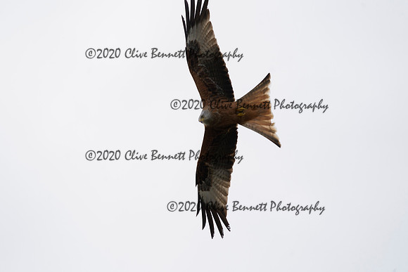 _CAB6780