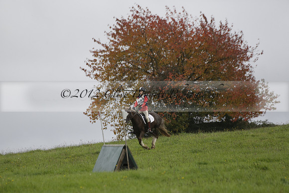 Chiddingfold, Leconfield and Cowdray Hunt, Hunter Trials at Iping on Sunday 20 October 2013. 2013.10.20 www.polopictures.co.uk