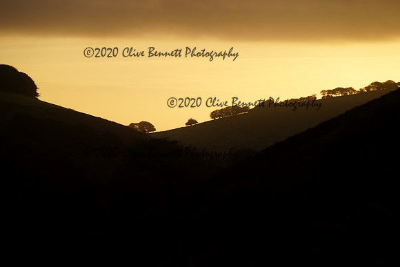 _CAB3021