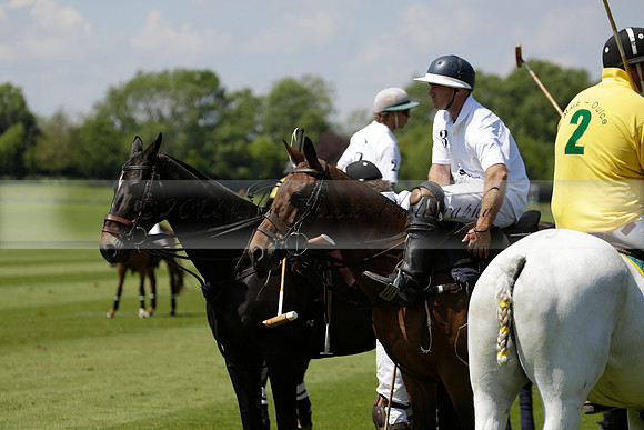 Maiz Dulce v Pluma Negra in a Jubilee 6 Goal Polo match 2013.05.27