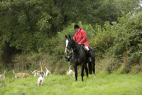 Devon & Somerset Stag Hounds meet at Liscombe on Saturday 12 October 2013 2013.10.12 www.polopictures.co.uk