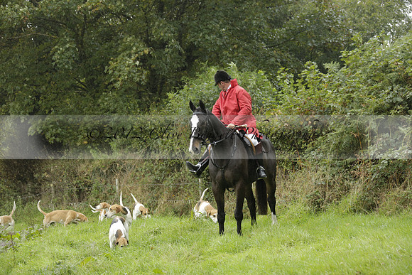 Devon & Somerset Stag Hounds meet at Liscombe on Saturday 12 October 2013 2013.10.12 www.polopictures.co.uk