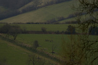 DSSH Meet at Kimmins Moor 2025.03.27
